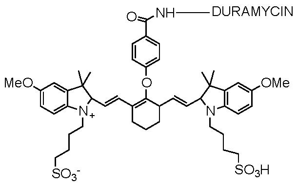 Duramycin-NIR790 conjugate